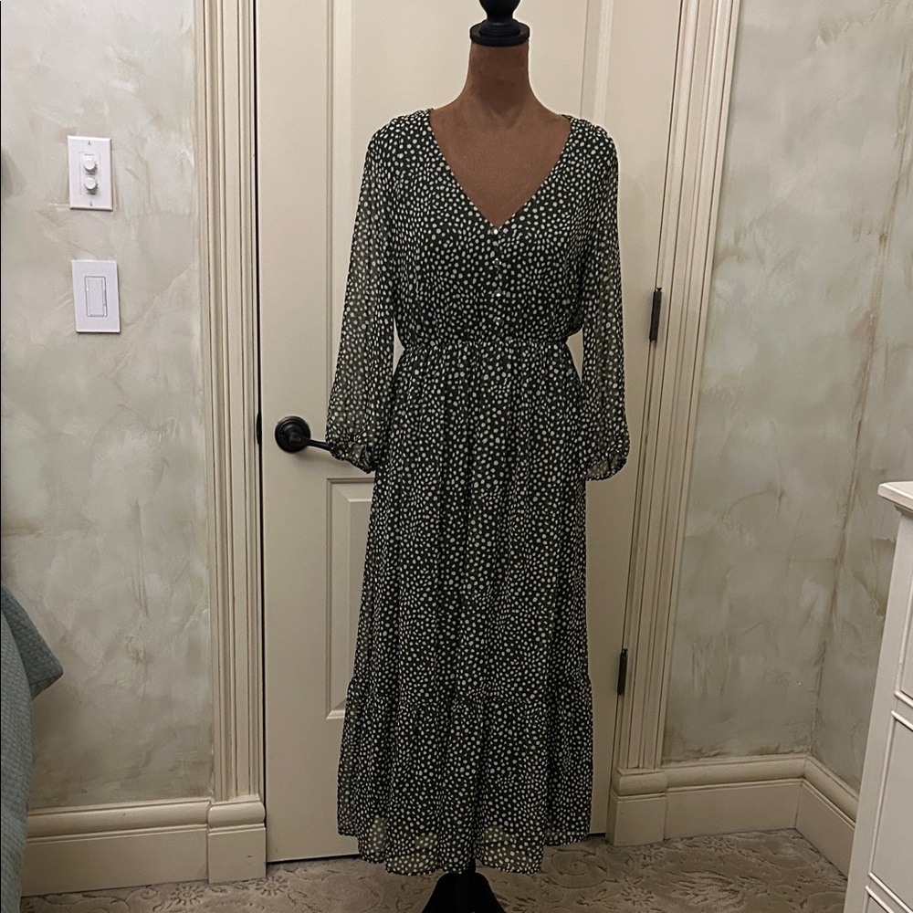 Zara Long Sleeve Maxi Dress